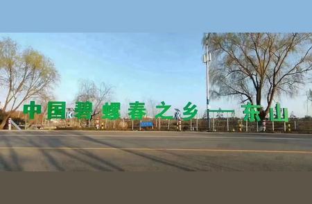 2024年新茶季：中国顶尖碧螺春，苏州东山原产地直供！