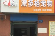 探索宠物店加盟：让爱宠事业更上一层楼