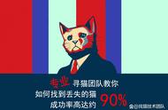 爱猫人士必备：十大方法帮你找到丢失的猫咪