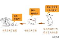 探索猫咪的崛起：从原始丛林到现代家庭，猫咪的进化之旅