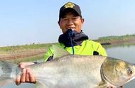 野钓饵料界的