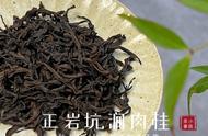 武夷岩茶的香气品种：黄观音、金牡丹、黄玫瑰耐泡性如何？