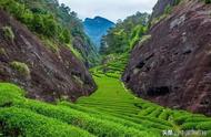 中国十大名茶茶山，邀您共赴一场轻奢茶香之旅！