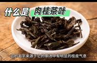 肉桂：武夷岩茶香气的瑰宝