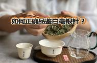 白毫银针品鉴全攻略：6个关键细节一次解读