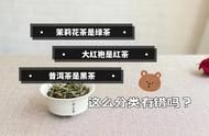 茉莉花茶、大红袍和普洱茶的分类：绿茶、红茶和黑茶，我的理解正确吗？