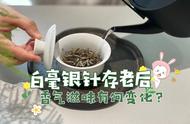 白毫银针的“增值”之道：什么样的茶叶才能越存越“吃香”？