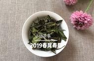 初尝白茶？这篇全方位知识指南让您轻松选好茶