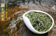 江湖传奇：蒙顶山茶的荣耀地位