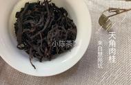 武夷岩茶的山头化趋势：与普洱茶有何相似之处？