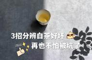 别再被茶掌柜忽悠了！3招教你准确判断白茶好坏