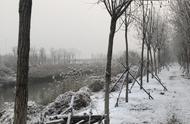 竿难封，坐钓2019年第一场雪