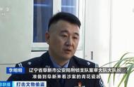 国家一级文物被盗？暗网惊现元代青花瓷，文化安全受挑战