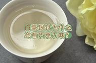 白毫银针怎么会有巧克力味？原因大解析