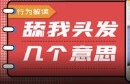 猫咪为何频繁舔我的头发，是觉得我还不够秃吗？