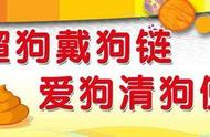 绵阳养狗须知：城区犬只管理办法解读