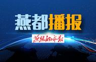 沧州这一地区禁止饲养52种犬类，新规定出炉！