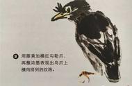 一学就会：国画八哥的绘制方法