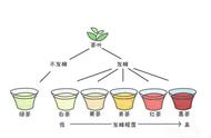 你知道中国六大茶种的产地吗？