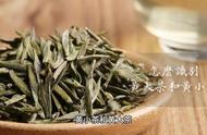 黄茶：中国六大名茶的瑰宝之一