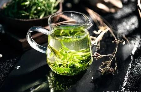 绿茶知识解读：重新认识并品味绿茶