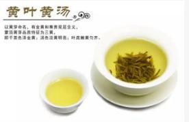 黄茶百科之黄茶概念