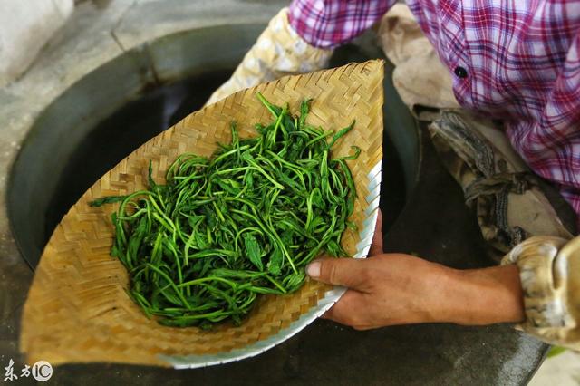 中国历史名茶“太平猴魁”