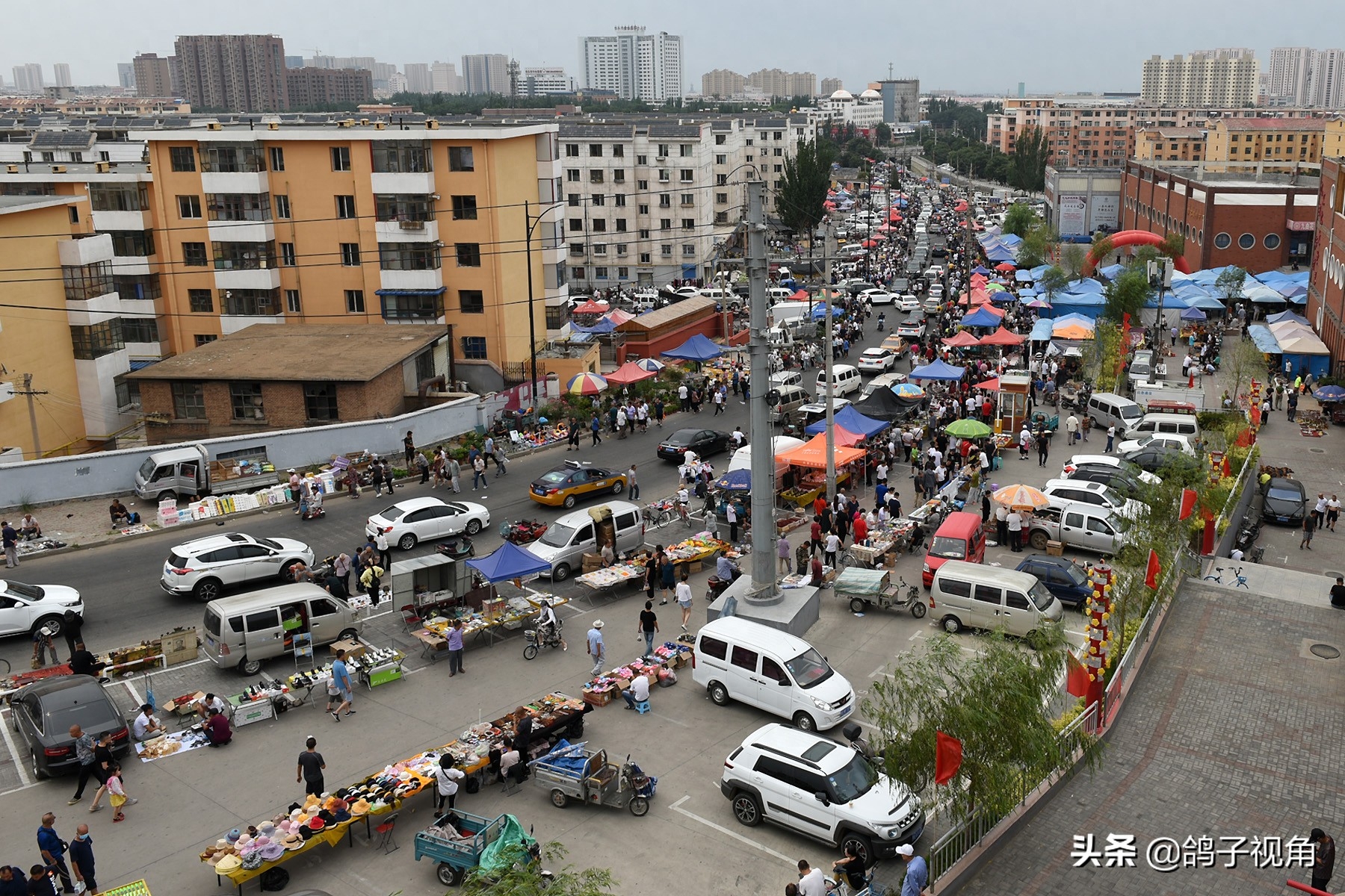 内蒙古最大花鸟市场：花鸟虫鱼肉蛋奶啥都有，但这些东西请别买